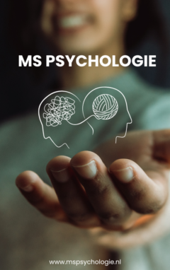 www.mspsychologie.nl